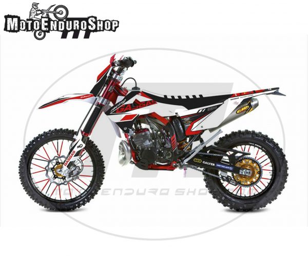 GASGAS EC/MC stickers 2010-2011 model Red White 2 *
