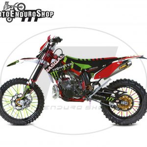 GASGAS EC/MC stickers 2010-2011 model Monster *
